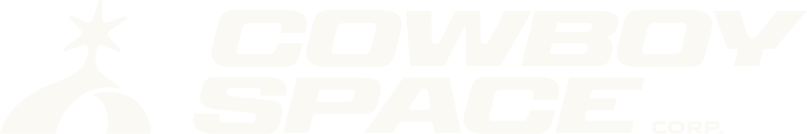 Cowboy Space Supply Co.